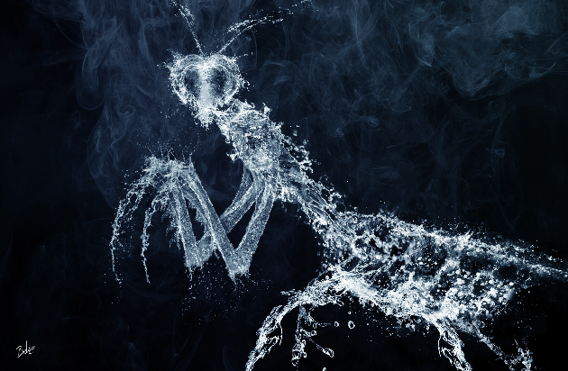 Une campagne malveillante connue sous le nom de Roaming Mantis arrive en France